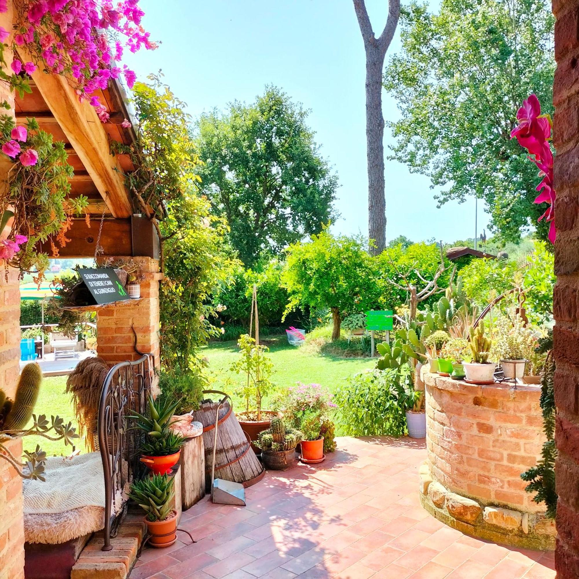 Ca' Dei Gelsi B & B Coriano Eksteriør bilde