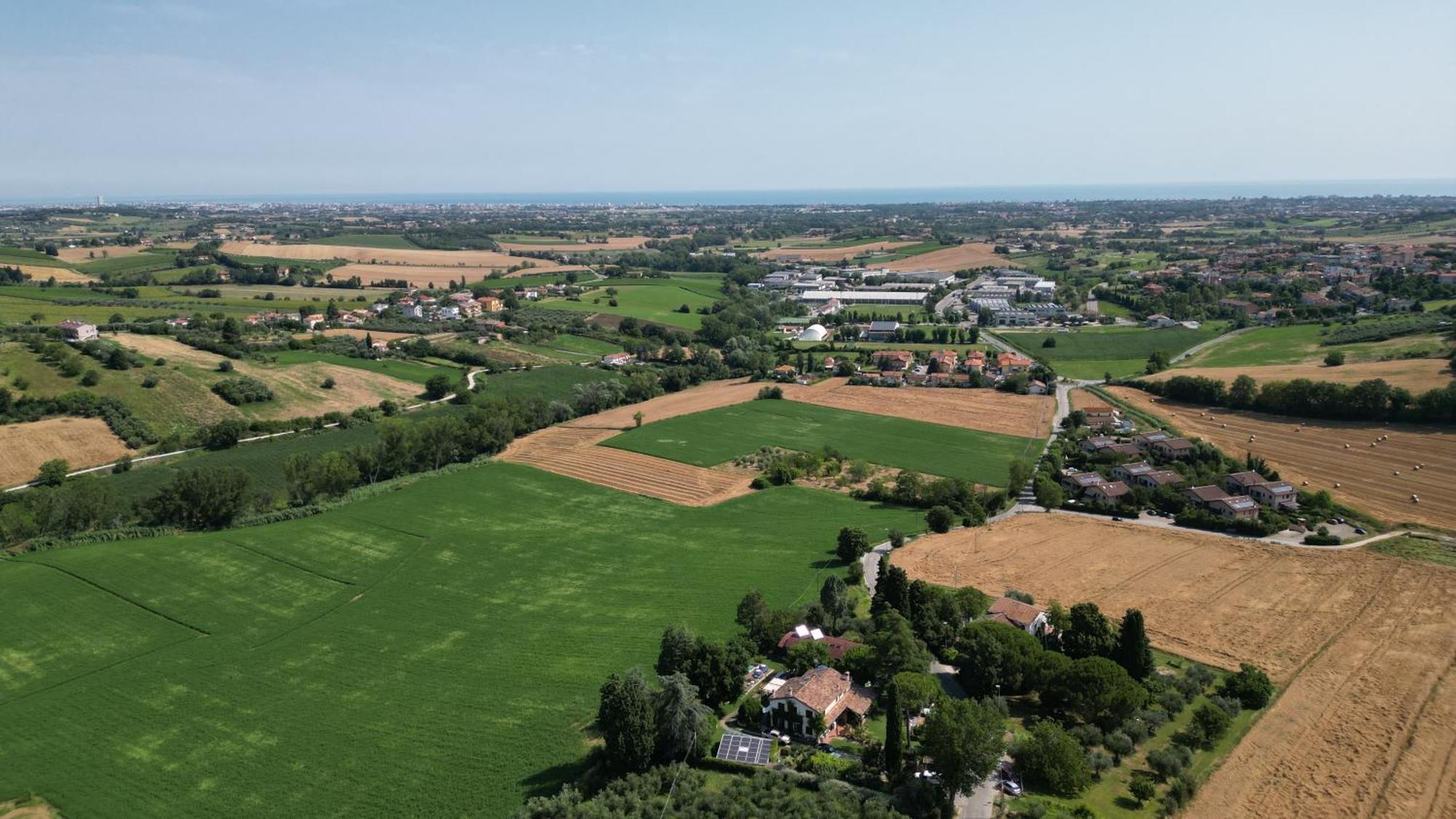 Ca' Dei Gelsi B & B Coriano Eksteriør bilde